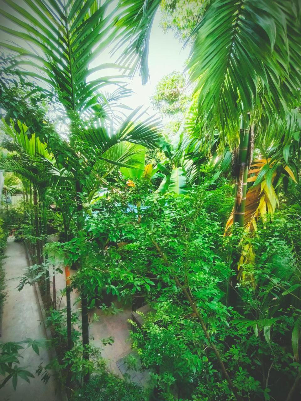 Green Stay Village Siem Reap Exteriér fotografie
